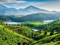 Kerala, 'Surga' yang Sedang Terendam Banjir