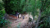 Yuri Baikov, 69, berjalan untuk memberi makan burung peliharaannya di dekat gubuknya, terletak di hutan dekat desa Yukhovichi. Mereka dulu tinggal di Yukhovichi, desa terdekat, sebagai petani. (REUTERS/Vasily Fedosenko)