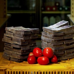 Venezuela: Dulu Juragan Minyak, Sekarang Makan Daging Busuk