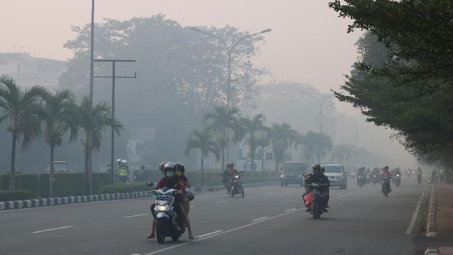 Titik Panas Kebakaran Hutan di Kalimantan Barat Menurun