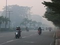Titik Panas Kebakaran Hutan di Kalimantan Barat Menurun