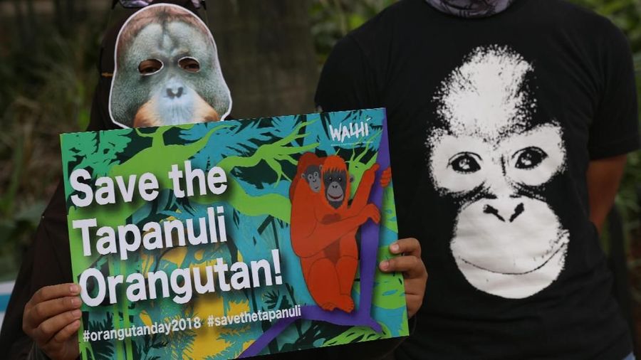 Belasan orang memegangi poster, yang bertuliskan segera mencabut dan menghentikan sementara pembangunan Pembangkit Listrik Tenaga Air (PLTA) di Batang Toru.