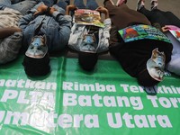Kenakan Atribut Orangutan, Walhi Serukan Tolak Proyek PLTA