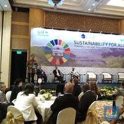 Di Forum Global, Luhut Singgung Kampanye Negatif ke Sawit
