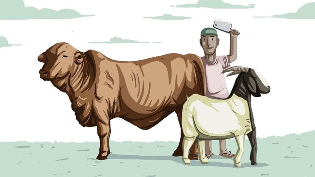 Di Negara Ini Idul Adha Lebih Meriah Dibanding Idul Fitri, Kok Bisa?