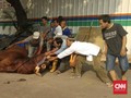 Cuitan Lucu <i>Netizen</i> di Momen Iduladha
