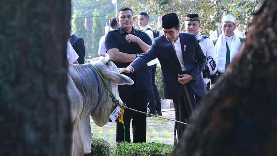 Presiden Joko Widodo pagi tadi melaksanakan salat Iduladha 1439 Hijriah di Lapangan Tegar Beriman, Kabupaten Bogor, Jawa Barat, pada Rabu, 22 Agustus 2018. Tiba sekira pukul 06.05 WIB, Presiden terlihat mengenakan setelan jas, kemeja putih, dan bersarung lengkap dengan peci hitam. (Biro Setpres RI)