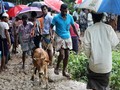 Iduladha Pertama Warga Rohingya di Pengungsian