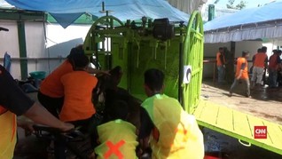 VIDEO: Cara Cepat Potong Sapi Untuk Kurban