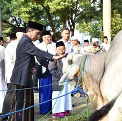 Seperti Tahun Lalu, Jokowi Salat Iduladha di Bogor Jawa Barat