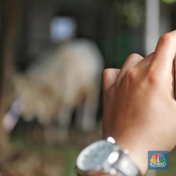 Ketentuan Idul Adha: Wilayah PPKM Darurat Salat Ied di Rumah