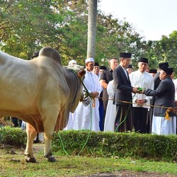 Ini Panduan Salat Iduladha & Sembelih Hewan Kurban New Normal