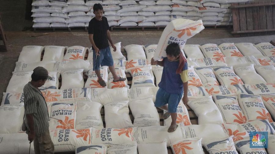 Produksi Beras Indonesia Cukup Tinggi