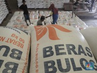 Rambah e-Commerce, Bulog Rilis PangananDotCom