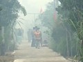VIDEO: Warga Kalbar Terpaksa Mengungsi Karena Kabut Asap