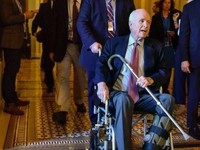 Senator Senior AS John McCain Wafat di Usia 81 Tahun
