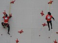 Panjat Dinding 2 Emas, Indonesia Raih 22 Emas di Asian Games