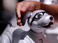 Qualcomm Sediakan Platform untuk Kembangkan Robot