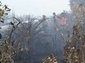 VIDEO: Kebakaran Lahan Gambut di Kalimantan Tengah