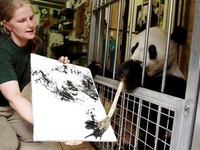 Keren! Hasil Karya Panda 'Sang Pelukis' Dijual 490 Euro