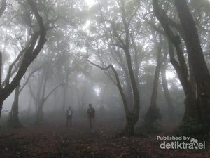 Kisah-kisah Pendaki Tersesat di Pegunungan Jawa Barat