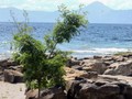 'Keindahan' Danau Toba dan Budaya Batak Digelar di Bandung
