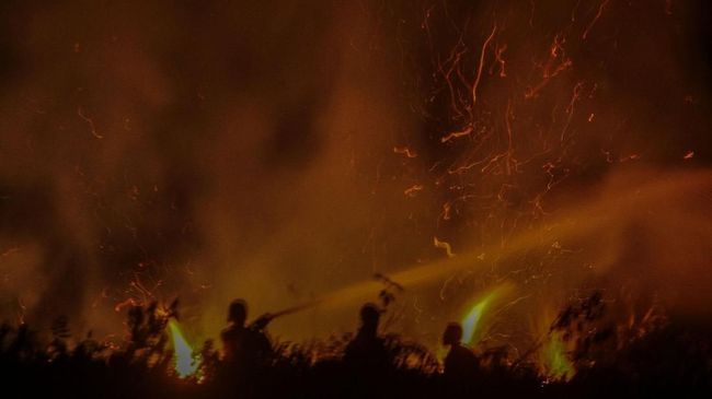 Karhutla Sumsel Capai 81,83 Hektare di 2019, 1 Warga Tewas