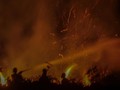 Lahan Sumatra Selatan Terbakar 37 Ribu Hektare Sepanjang 2018
