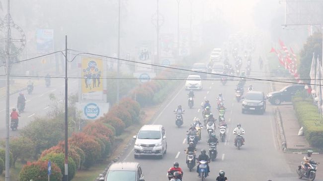 BNPB Prediksi Siklus Karhutla di Riau pada Maret dan Juni