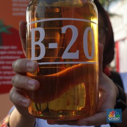 Ada Kendala di Tuban, B20 Belum Bisa Efektif di 2019