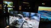 Televisi dengan jumlah pixel dua kali 4K, juga dipamerkan. Televisi dengan resolusi 8K ini akan memanjakan mata, apalagi ada kecenderungan di Eropa yang rata-rata memilih televisi ukuran 50 inci.