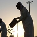 Ada di Al-Quran, 7 Tanaman Ini Bawa Energi Positif