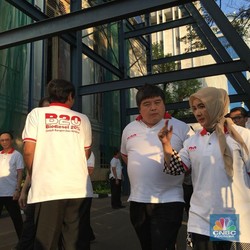 Pasokan Minyak Sawit B20 Seret, Salah Siapa?
