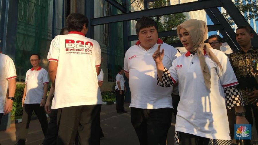 Para pemangku kepentingan saling lempar tangan soal seretnya pasokan minyak sawit untuk bahan baku B20
