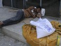 Amerika Serikat Resmi Berhenti Bantu Palestina