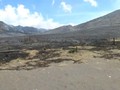 VIDEO: Kebakaran di Kawasan Wisata Gunung Bromo