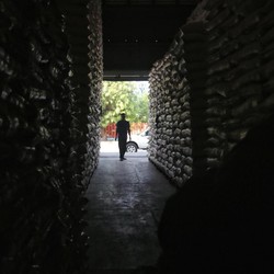 Darmin: Kementan Sebut RI Surplus Beras, Ke Mana Perginya?