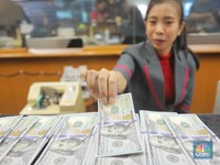 Hellooowww, Yakin Mau Buang Dolar?