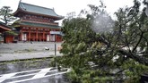 Topan ini diperkirakan akan melewati Laut Jepang pada Selasa (4/9) malam dan akan bergerak ke Utara pada Rabu (5/9) pagi yang kemudian akan melemah menjadi badai ekstratropis. (Kyodo/via REUTERS)