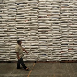 Buwas Murka Soal Impor Beras, Darmin Soroti Data Kementan