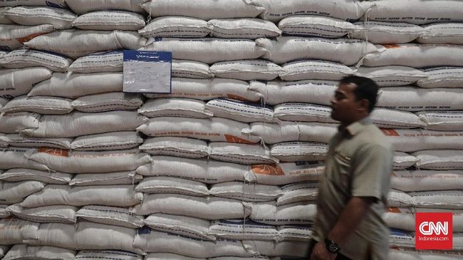 Pengamat Ragukan Data Pasokan Beras Kementan dan Bulog