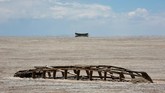 Uni Eropa telah menggelontorkan uang sebesar 14 juta Euro sejak tahun 2010 hingga tahun 2015 untuk mendanai program operasional di Danau Poopo. (REUTERS/David Mercado)