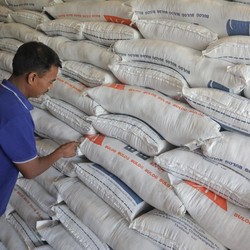 Jokowi Minta Darmin Tengahi Buwas & Enggar Soal Impor Beras