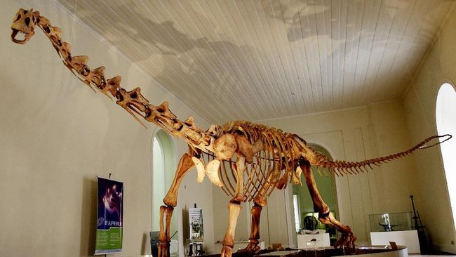 Jejak Dunia Dinosaurus Ditemukan di Australia