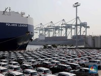 Neraca Dagang RI Surplus, India Jadi Pahlawannya