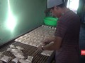 VIDEO: Rupiah Melemah, Perajin Tempe Kena Imbasnya