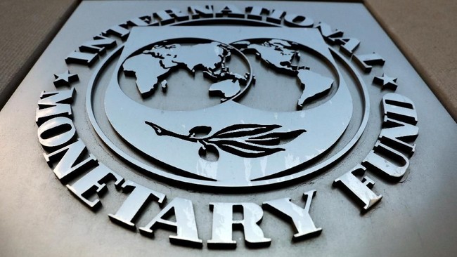 Krisis Makin Ngeri, Ramai-Ramai Negara Minta Utang ke IMF