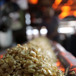Pemerintahan AS Tutup, Apakah China Tetap Impor Kedelai?