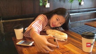 VIDEO: Kafe Reptil, Sensasi Makan Ditemani Reptil di Kamboja