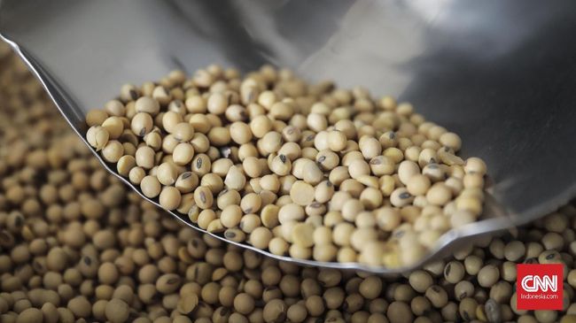 Jaga Harga Kedelai, Mendag 'Kontak' Importir